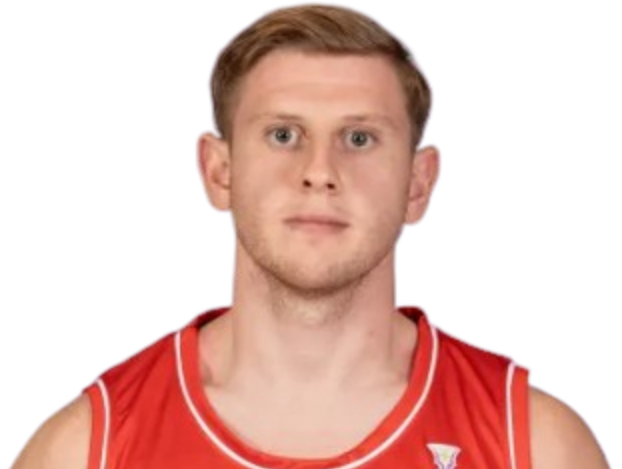 安德烈·法尔斯·迈克尔森