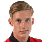 乔·范·德·斯吕伊斯	